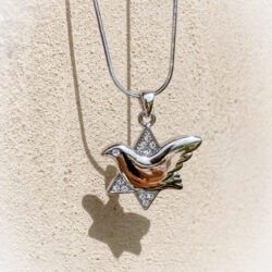 Gold Peace Dove in Star of David