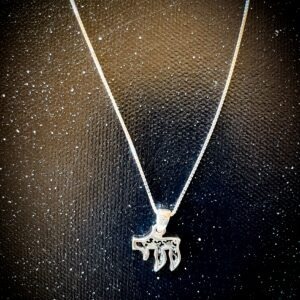 Sterling Silver Lucky18 Hebrew Character