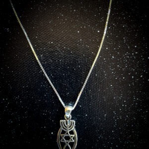 Sterling Silver Messianic Pendant